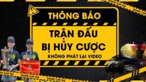 huytran 300x169 1